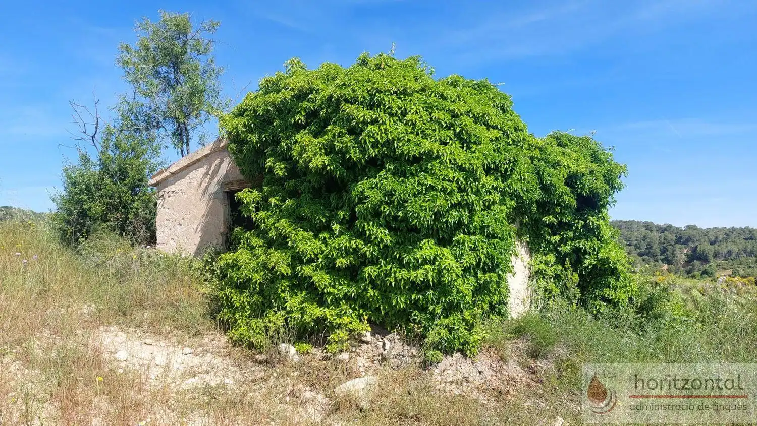 Terrenys i solars en venda a Sant Quintí de Mediona, imagen 5