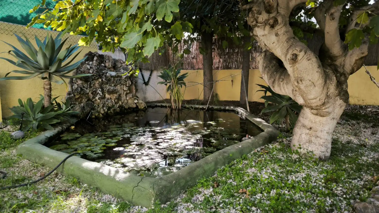 Jardí de Casa o xalet en venda en La Fustera  