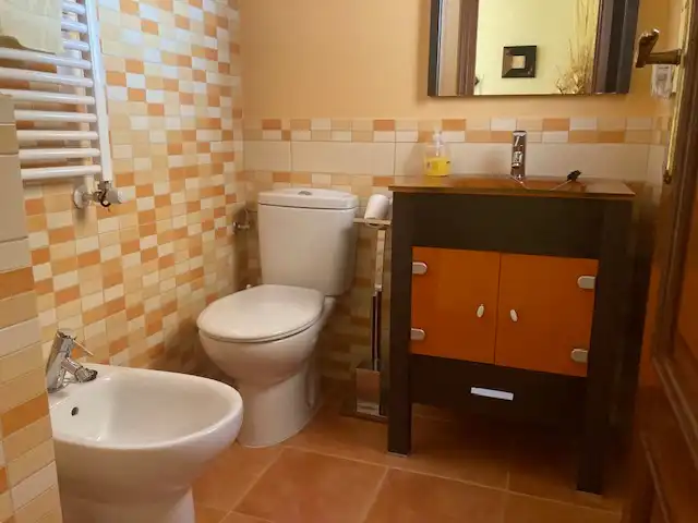 Bany de Casa o xalet en venda en Olías del Rey amb Aire condicionat, Calefacció i Jardí privat