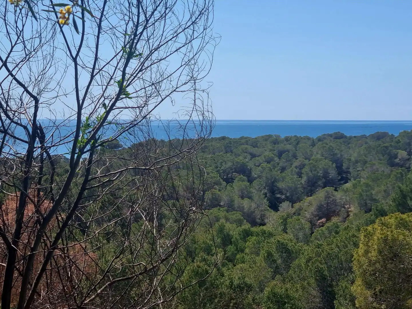 Residencial en venda en Altea