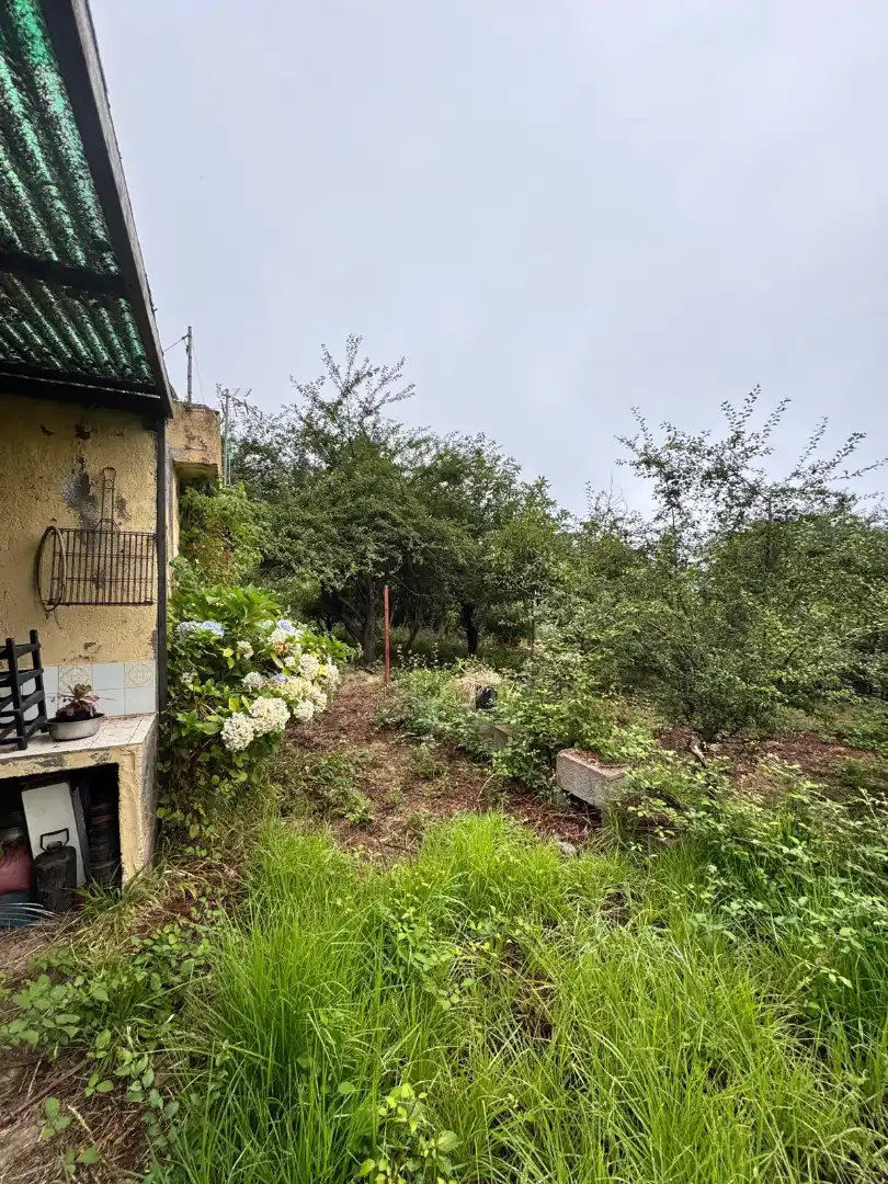Finca rústica en venta en Los Realejos
