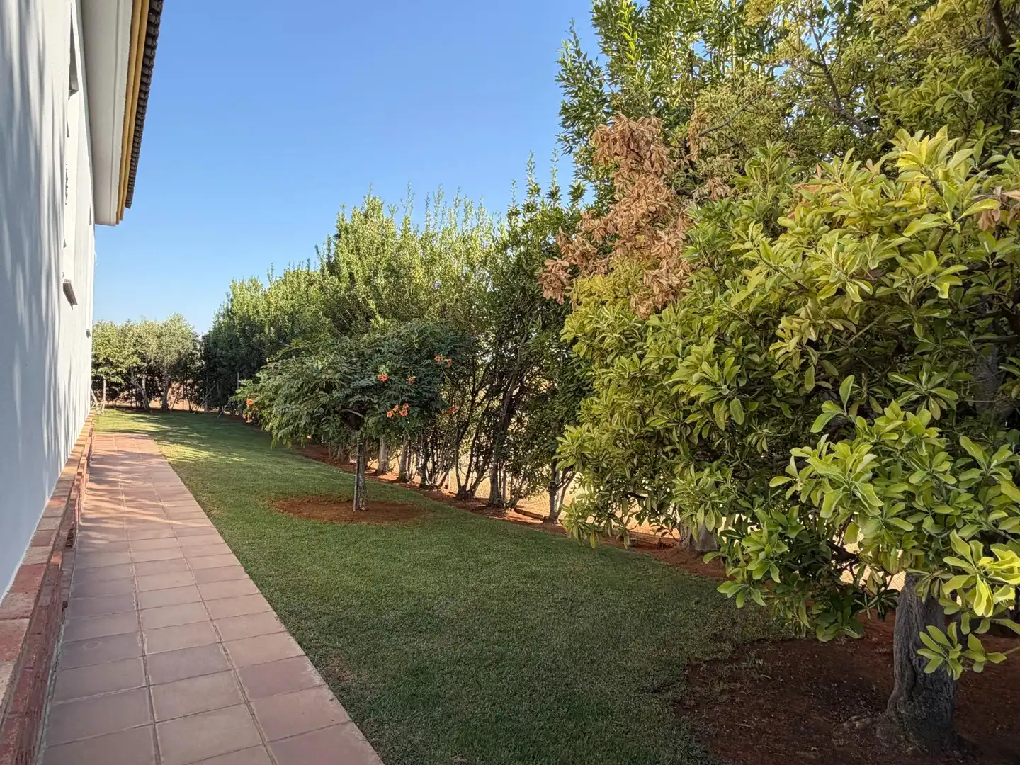 Casa con piscina en venta en Mairena del Alcor, imagen 51