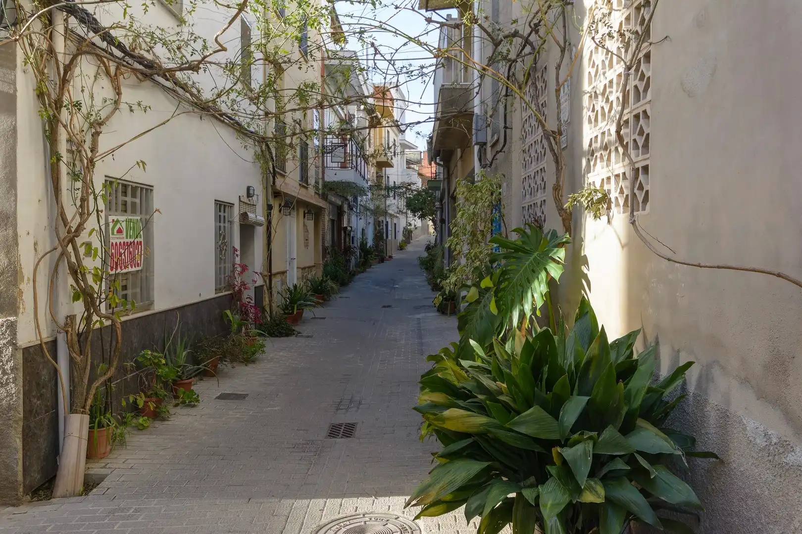 Exterior view of Houses for sale in Castelló de Rugat  with Private garden, Terrace and Storage room