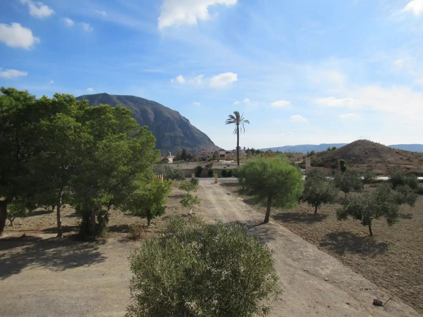 Vista exterior de Finca rústica en venda en Alicante / Alacant amb Jardí privat i Forn