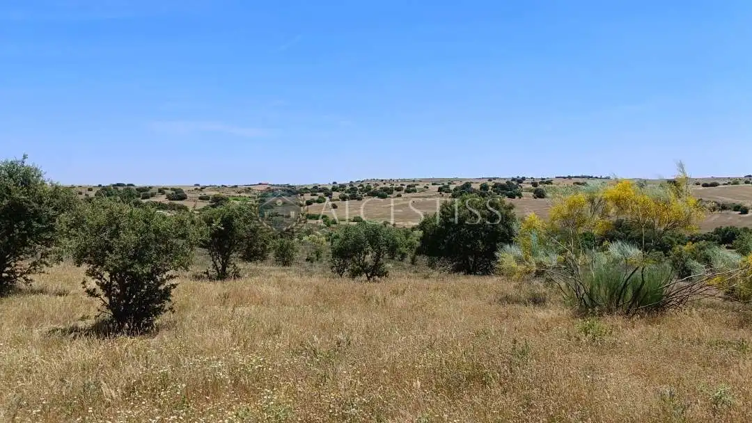 Terreno en venta en La Torre de Esteban Hambrán