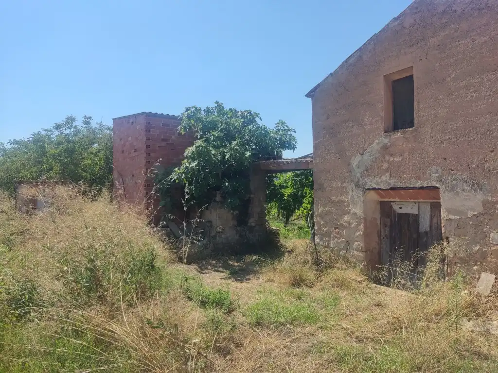 Rural land for sale in Ascó, imagen 4