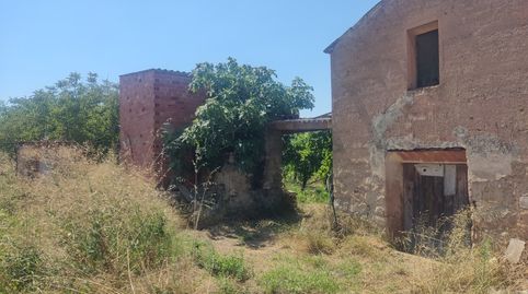 Maset amb llum i aigua a L’illa d’Ascó, immagine 4