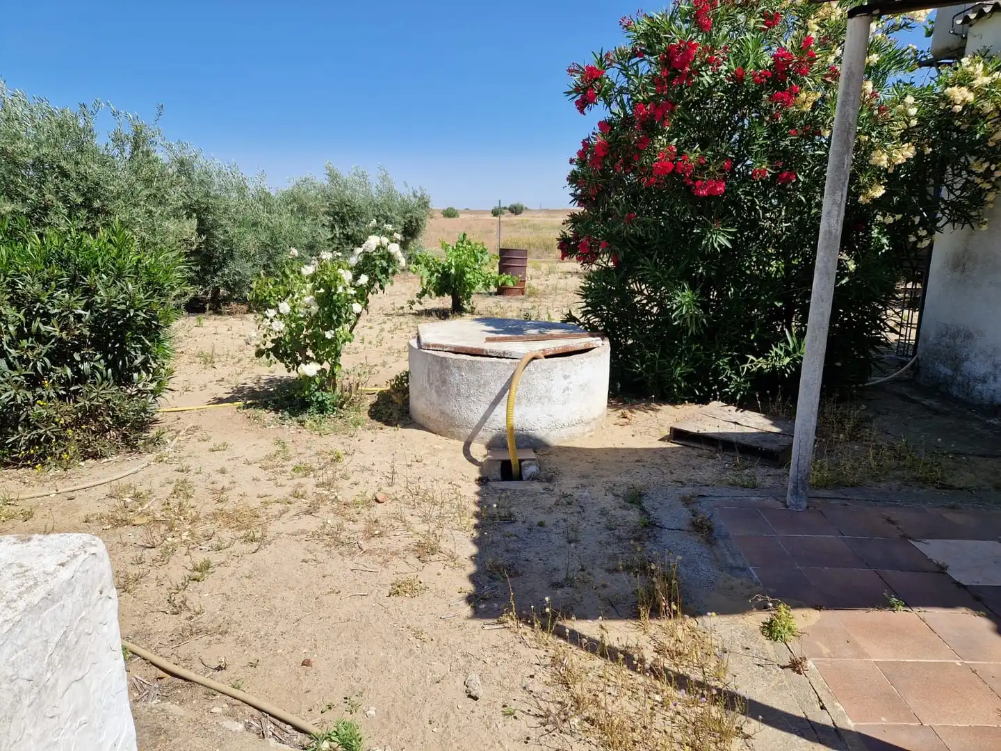 Chalet en venta en Don Benito, imagen 10