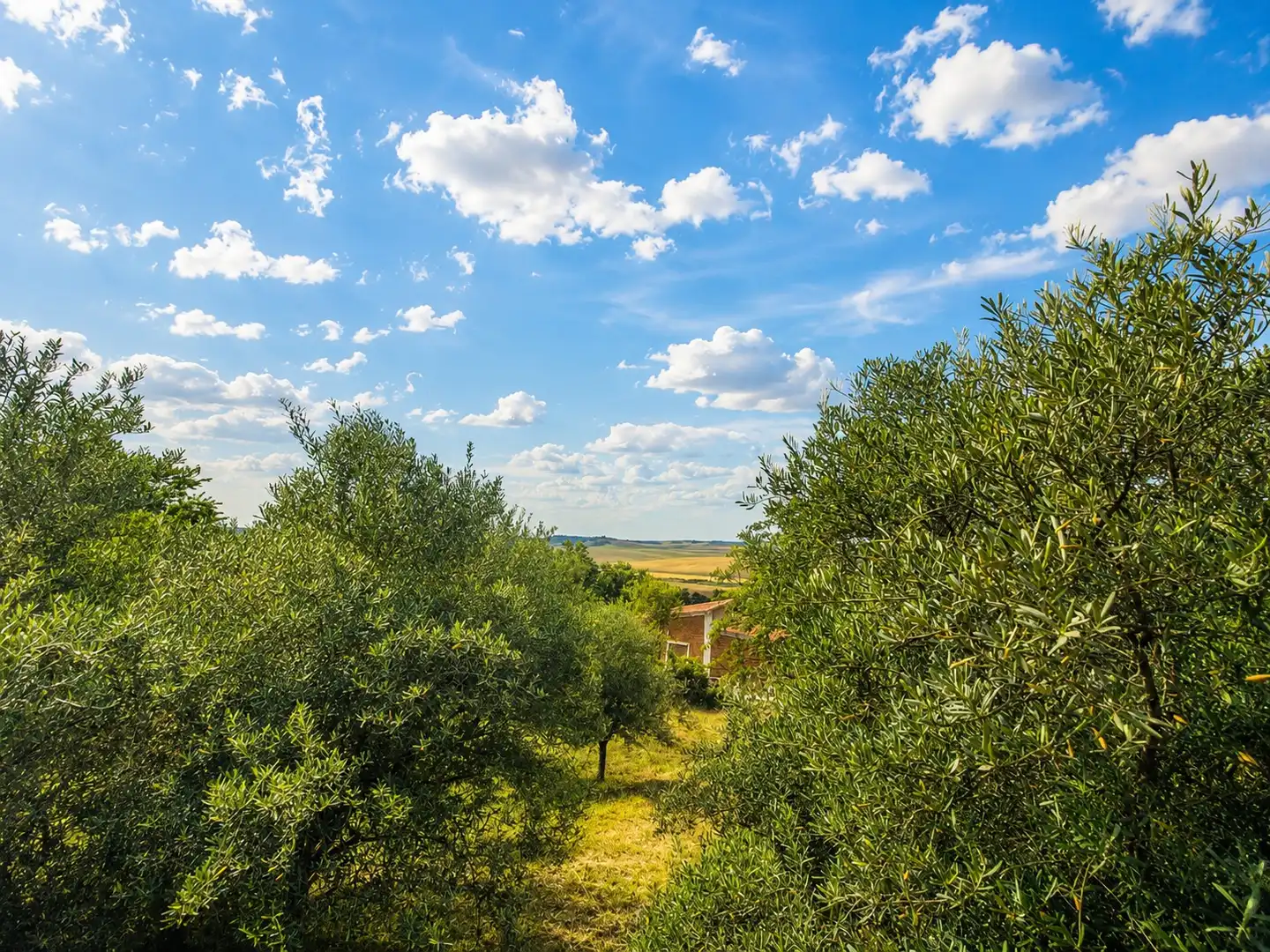 Casa o chalet en venta en Valdeavero con Calefacción, Jardín privado y Parquet