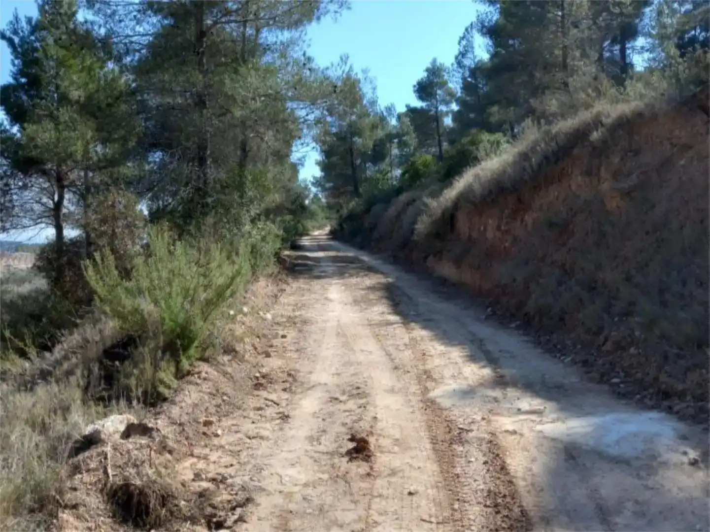 Vista exterior de Terreno en venta en Corbera d'Ebre