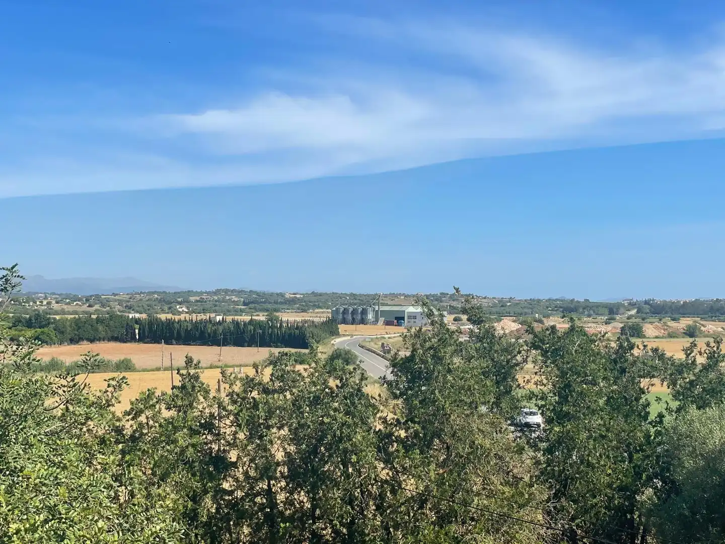 Finca rústica en venta en Ariany con Jardín privado