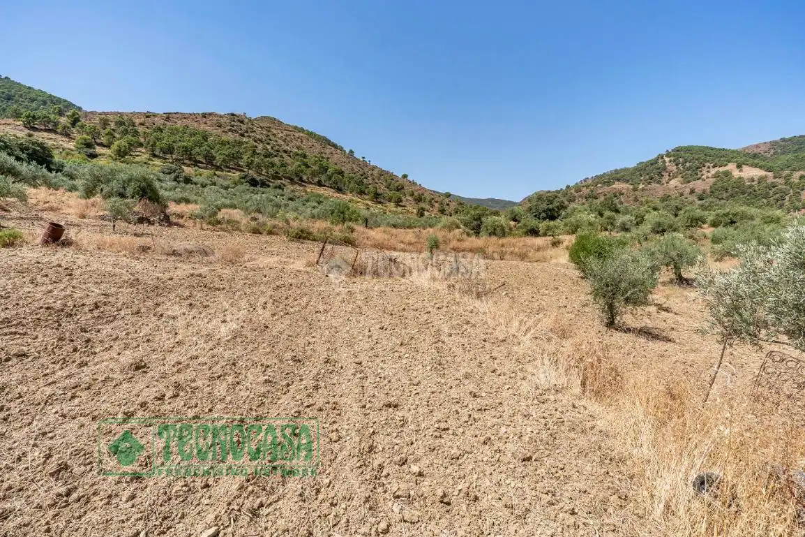 Land for sale in Tolox