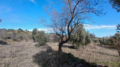 Photo 4 of Land for sale in N/a, -1, Calaceite, Teruel