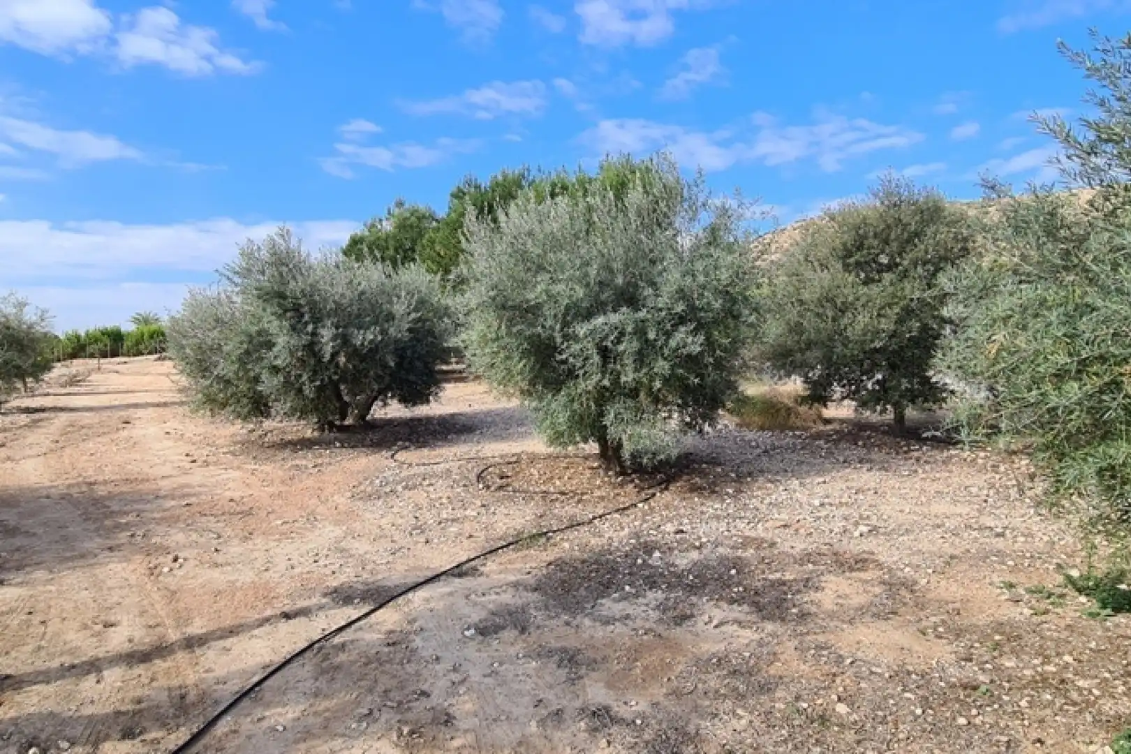 Casa o xalet en venda en Orihuela amb Aire condicionat, Calefacció i Jardí privat