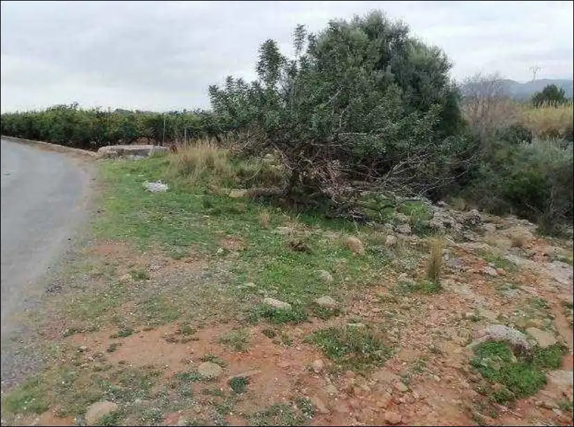 Rural land for sale in C/ de La Fuente, Pol 1, imagen 6