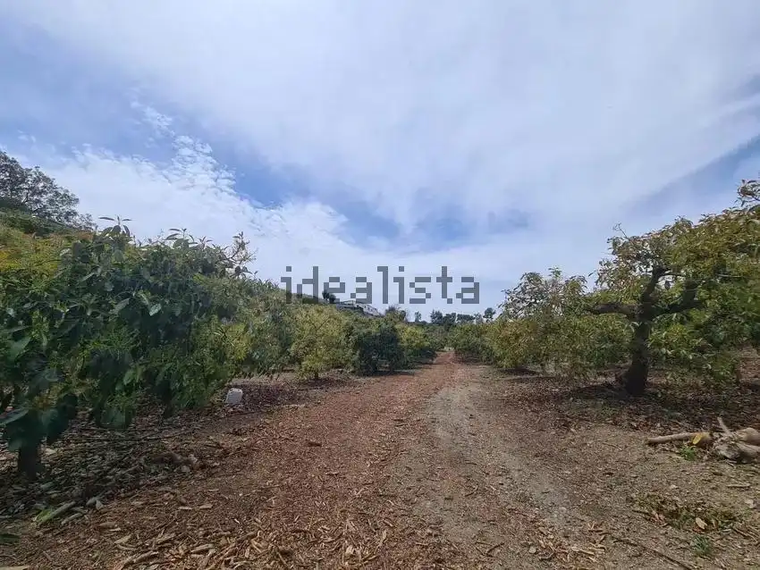 Terrain rustique à vendre à Vélez-Málaga ciudad, imagen 16