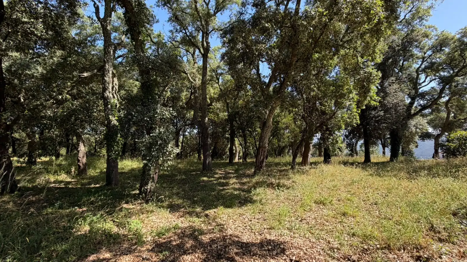 Terreno residencial en venta en Montsoriu Sortida 167, imagen 5