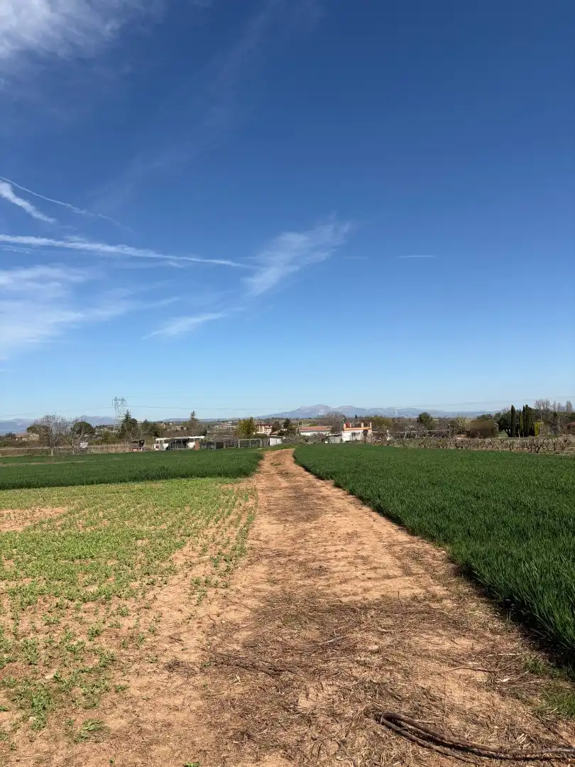 Rural land for sale in Villamediana de Iregua, imagen 8