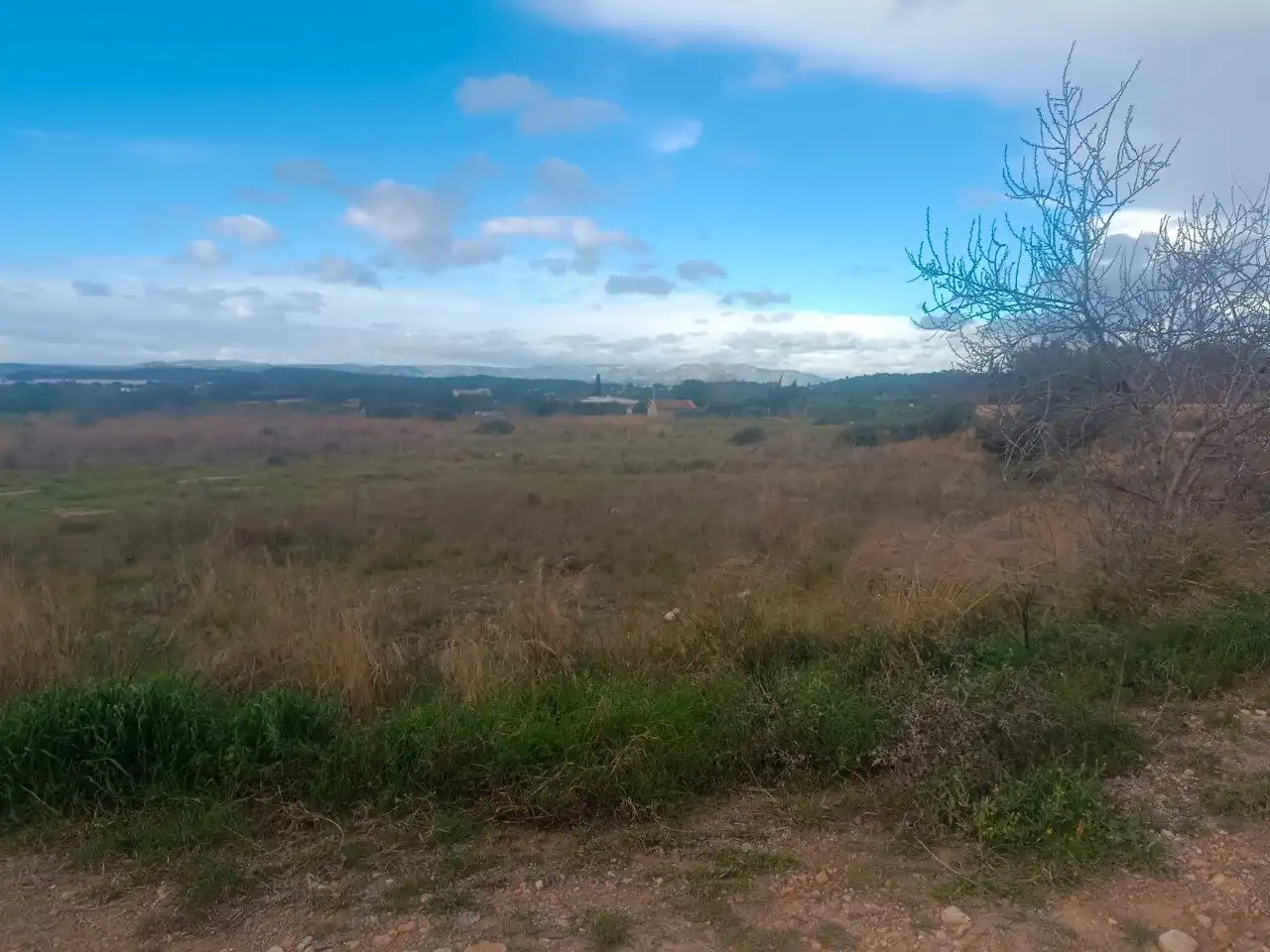 Terreno residenziale in vendita a Cheste, imagen 5