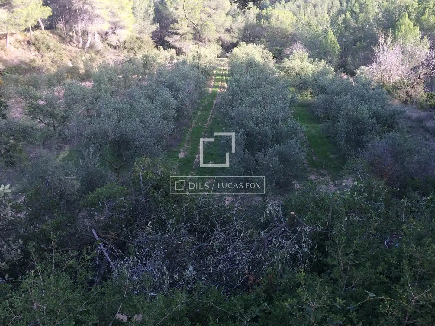 Casa rustica in vendita a Castellet i la Gornal, imagen 16