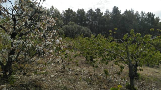 Terreno en Venta en Sant Climent de Llobregat