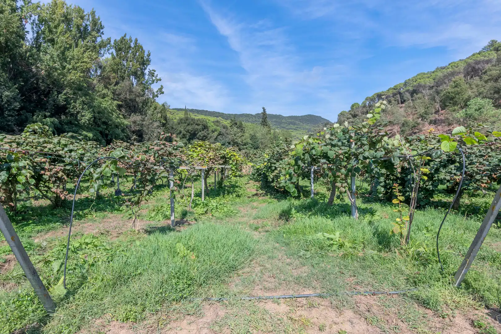 Casa rústica con piscina en venta en Camí Can Cabot de Munt, imagen 81