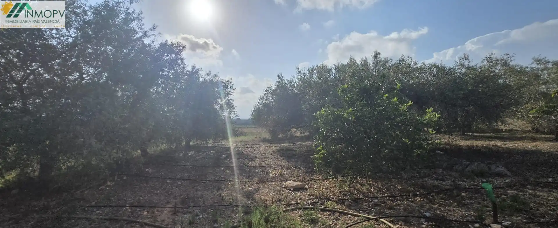 Finca rústica en venda en Vinaròs