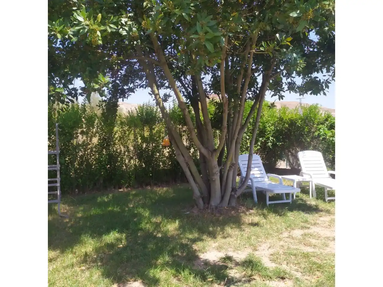 Jardín de Terreno en venta en Alcanadre