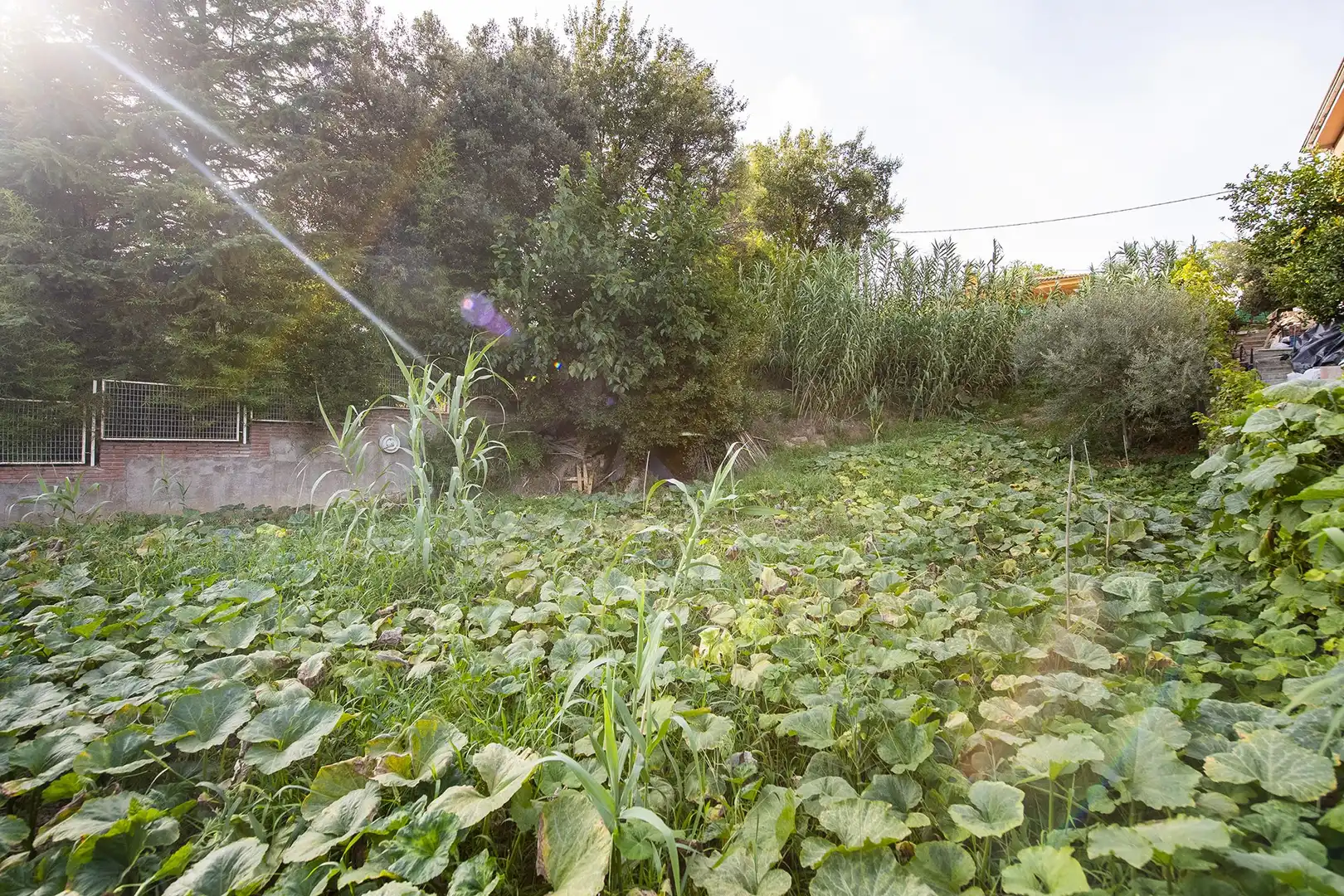 Terrenys i solars en venda a Banyoles, imagen 2