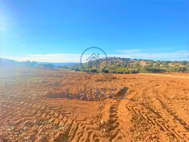 Lands and plots for sale in Fuente Obejuna, imagen 10