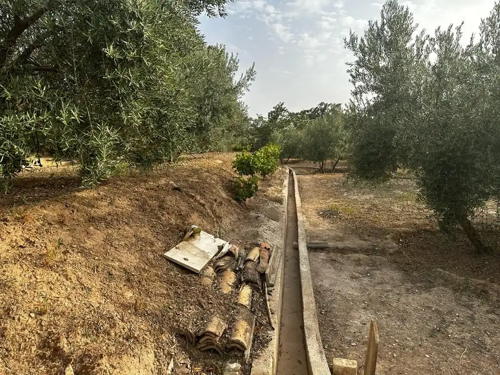 Terrain rustique à vendre à Peligros, imagen 12