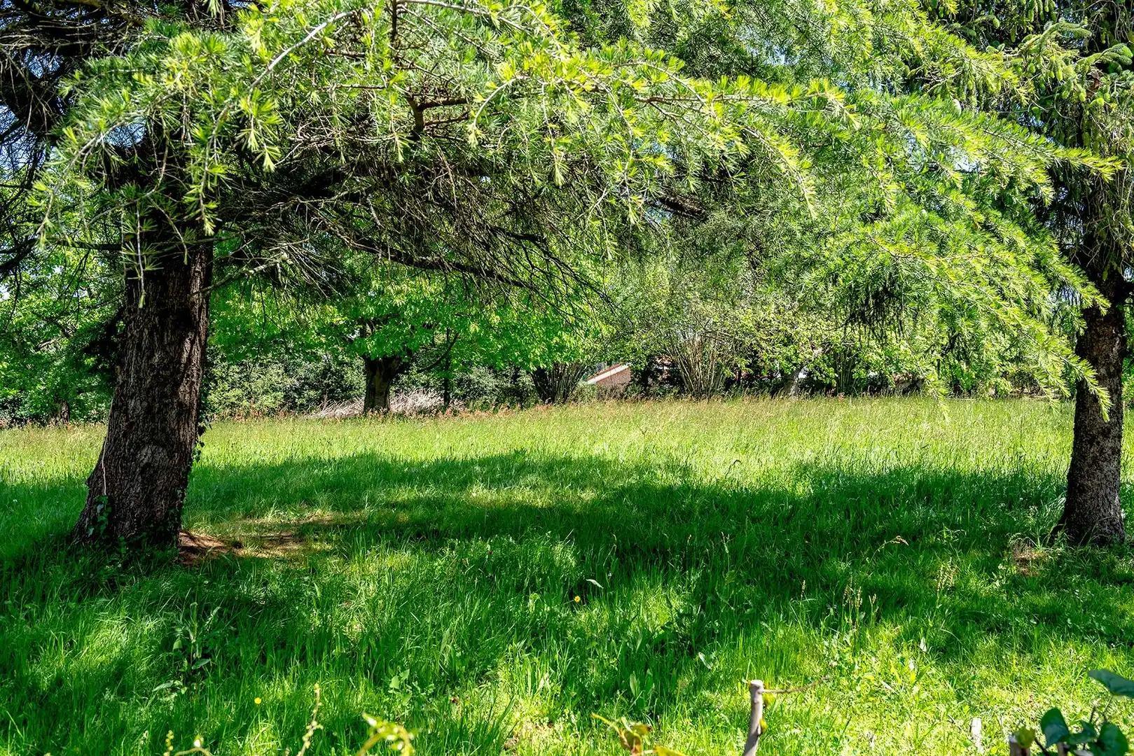 Casa o xalet en venda en Polanco amb Jardí privat, Terrassa i Balcó