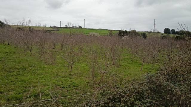 Terreno en Venta en N/A en Carreño