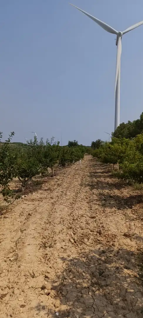 Residencial en venda en Vilalba dels Arcs