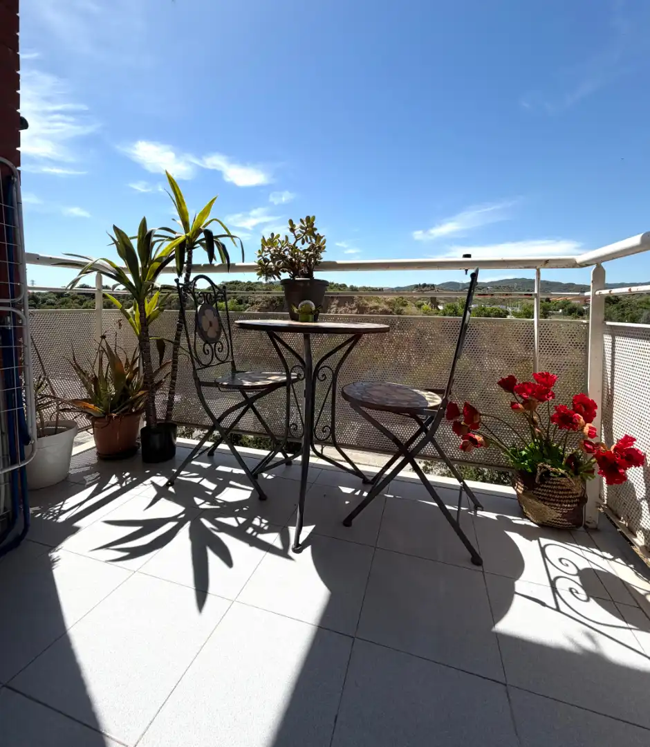 Piso en venta en Carrer d'Abla, Can Boada
