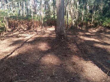 Terreno rustico in vendita a Cambados