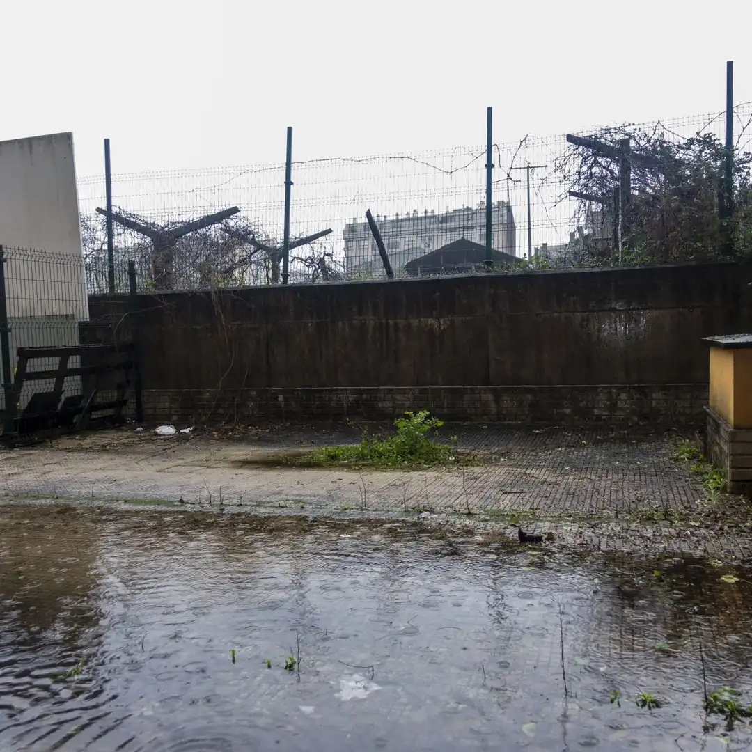 Gewerbefläche zum Verkauf in Salvaterra de Miño, imagen 8