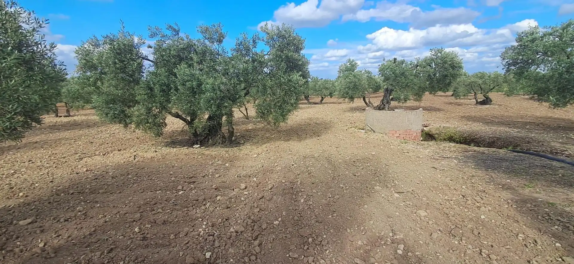 Terreno rustico in vendita a Pedanías Norte, imagen 2