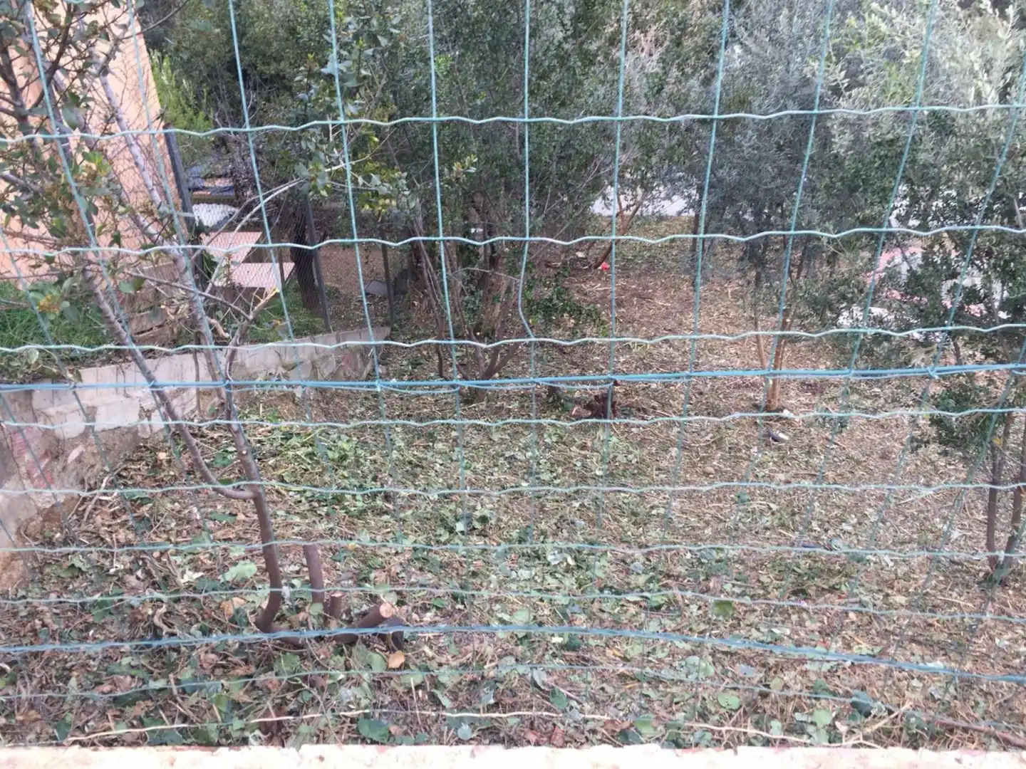 Terrenys i solars en venda a Castellnou - Can Mir - Can Solà, imagen 6