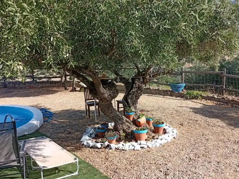 Haus mit Pool zum Verkauf in Calle de Antonio Machado 5, imagen 19
