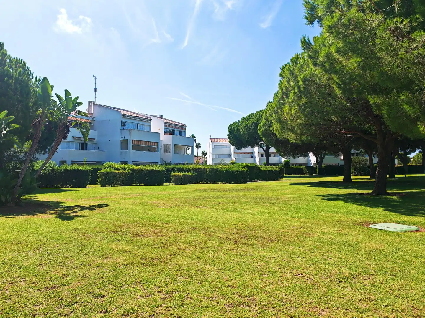 Apartamento con terraza en venta en Novo Sancti Petri, imagen 3