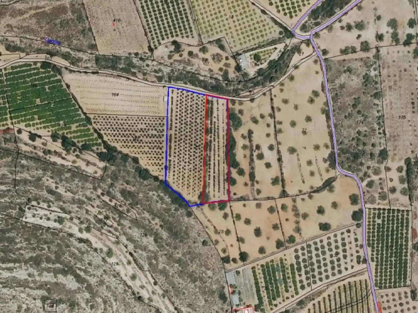 Terreno rústico en venta en Llombai, imagen 4