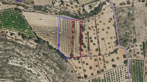 RUSTICALLOMBAY FINCA REGISTRAL 6950, immagine 4
