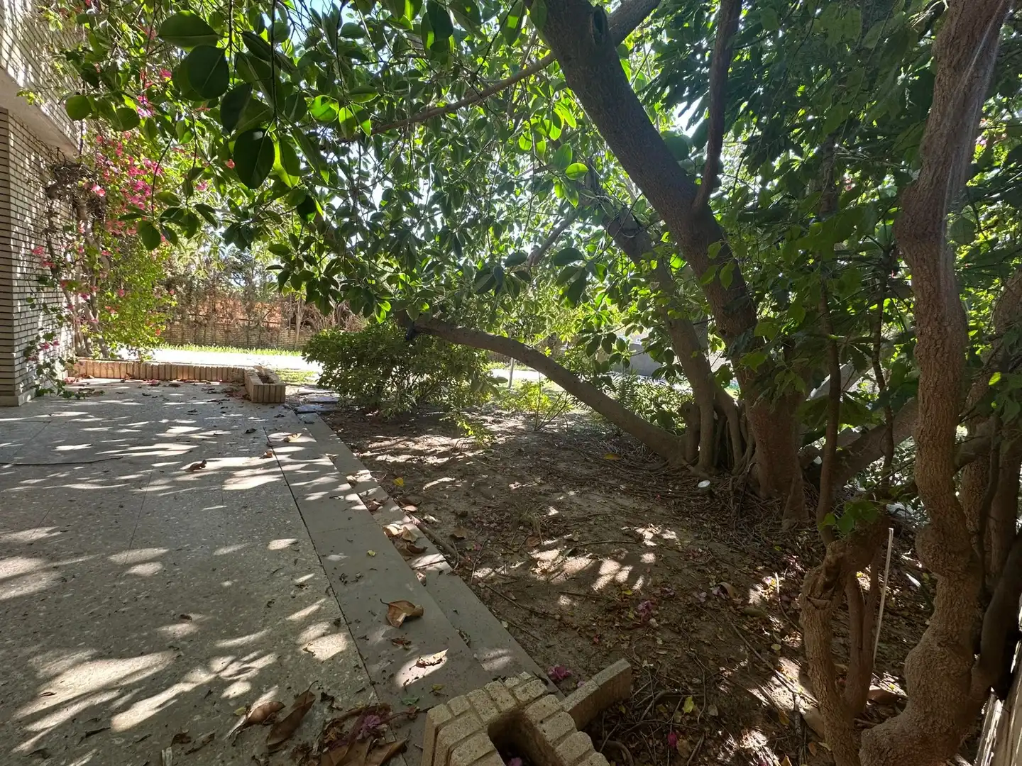Jardí de Casa o xalet en venda en Alicante / Alacant amb Jardí privat, Terrassa i Piscina