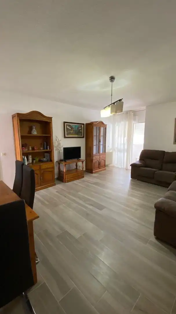 Living room of Flat for sale in Manzanares  with Air Conditioner, Heating and Terrace
