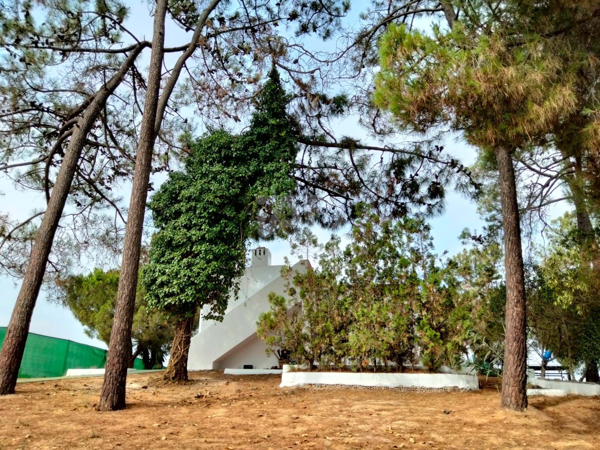 Jardí de Casa o xalet en venda en Lepe amb Calefacció