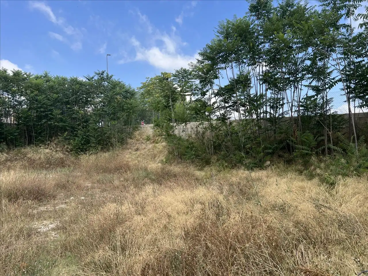Terreny residencial en venda a Alegría, imagen 7