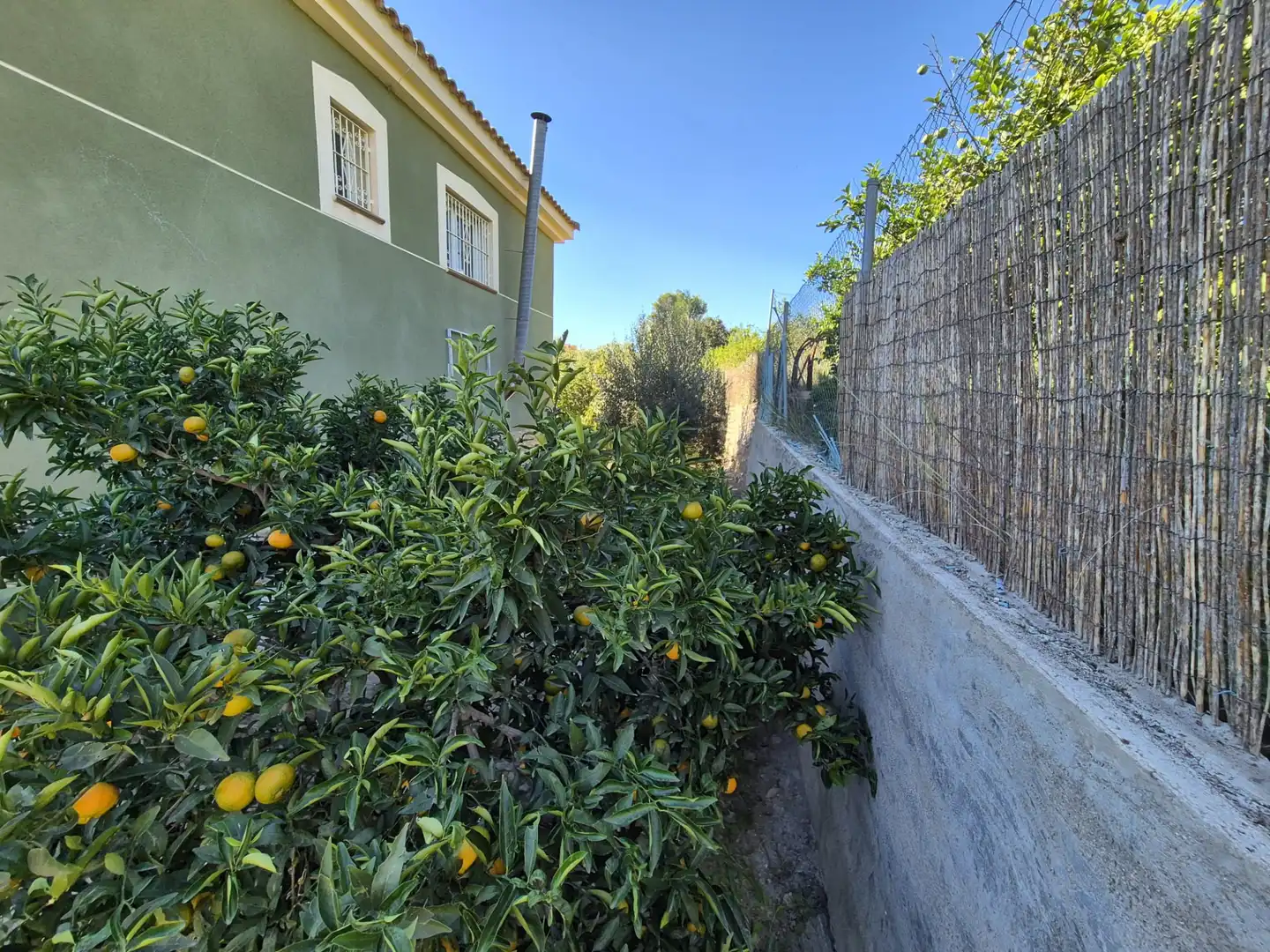 Vista exterior de Casa o xalet en venda en Albudeite amb Jardí privat, Terrassa i Moblat
