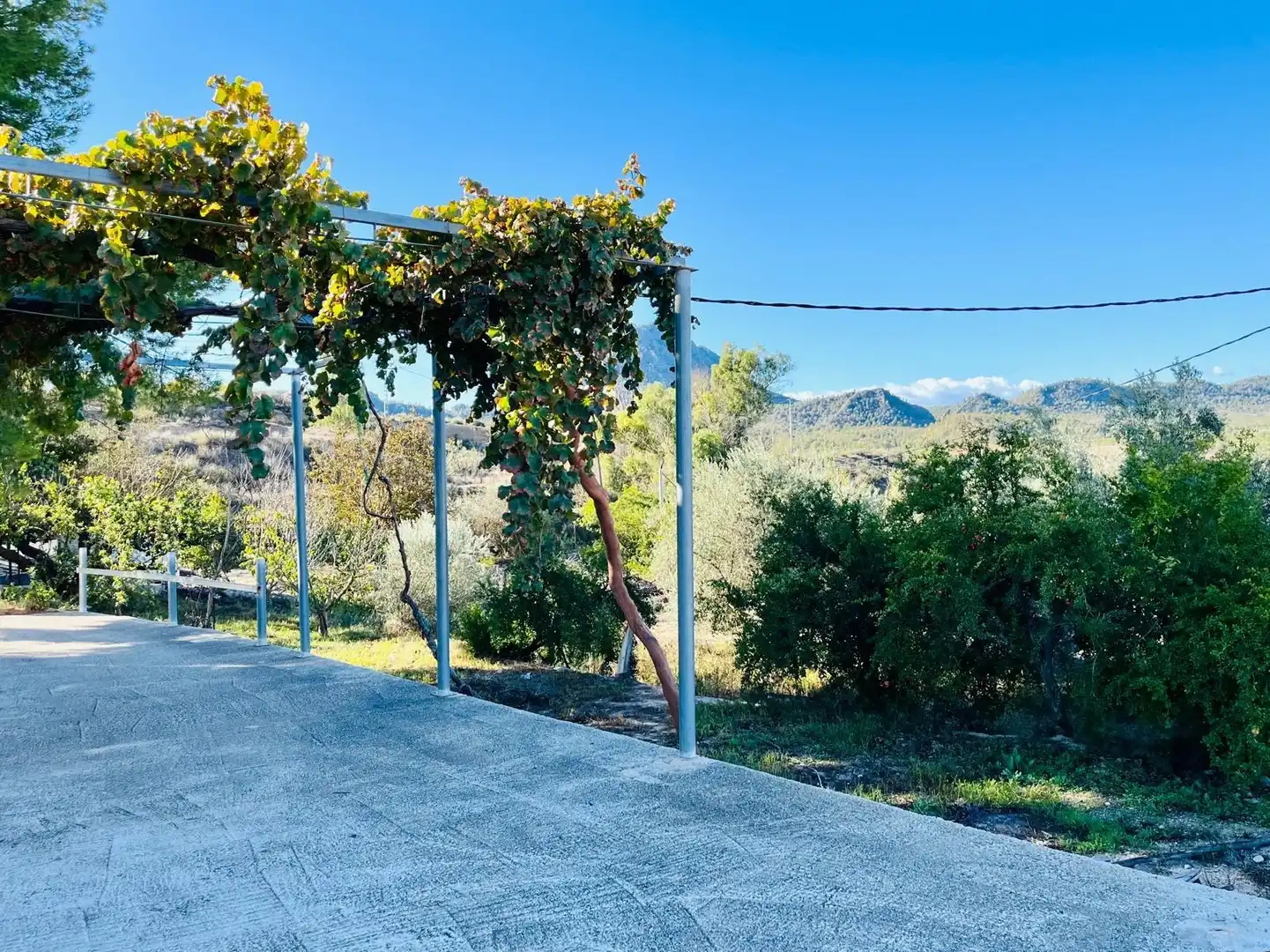 Vista exterior de Casa o chalet en venta en Cieza con Calefacción, Jardín privado y Trastero