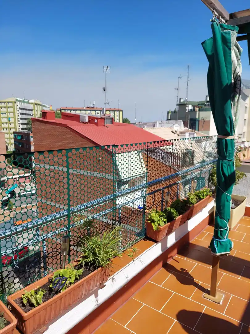 Penthouse zum Verkauf in Paseo de la Dirección, imagen 2